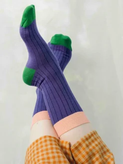 Bambu Ribbisukat, Violetti