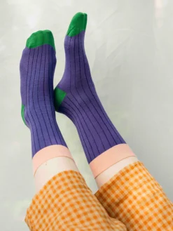 Bambu Ribbisukat, Violetti